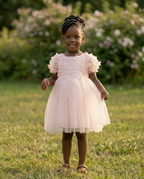 Blush Butterfly Dress
