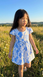 Blue Meadow Dress