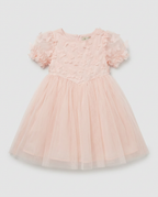 Blush Butterfly Dress