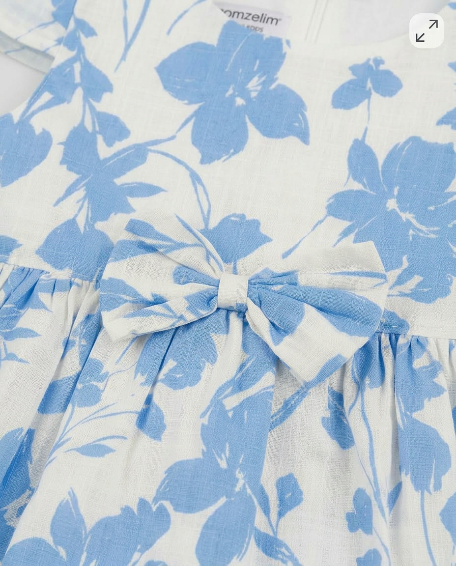 Blue Meadow Dress